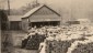 A.M. Kelly Store at Dutton on April 7, 1908; railroad car and railroad ties