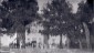 Huntsville Academy on College St. c. 1882